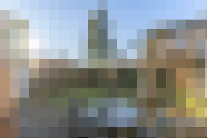 den Haak 5 Overloon thumbnail 10