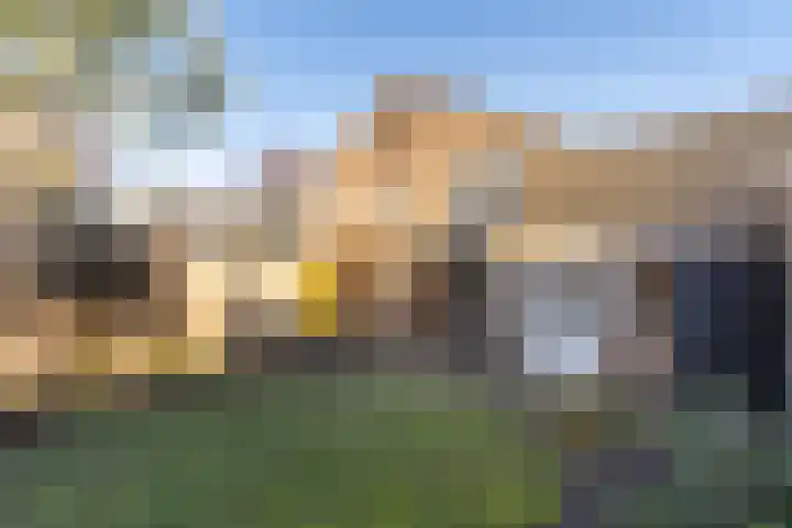 den Haak 5 Overloon thumbnail 12