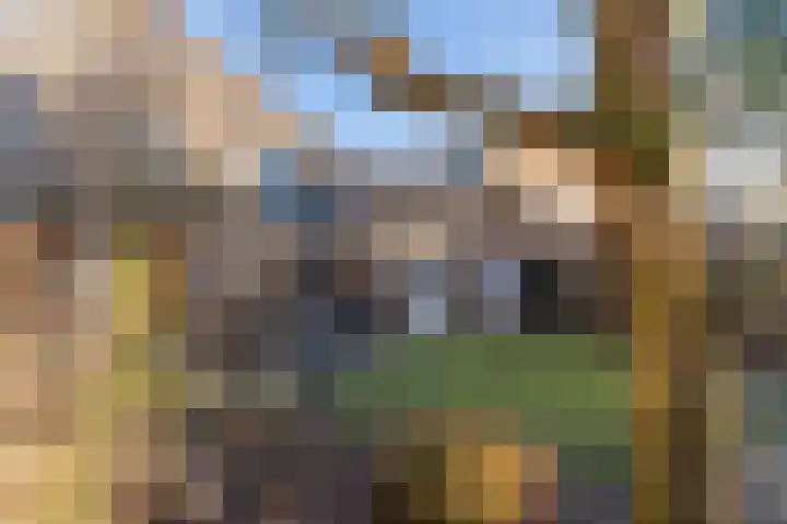 den Haak 5 Overloon thumbnail 13