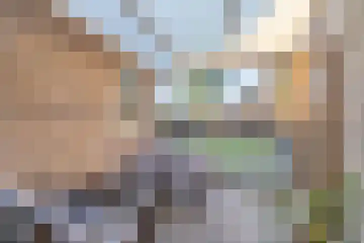 den Haak 5 Overloon thumbnail 15