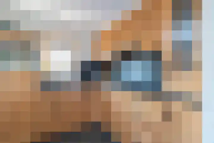 den Haak 5 Overloon thumbnail 22