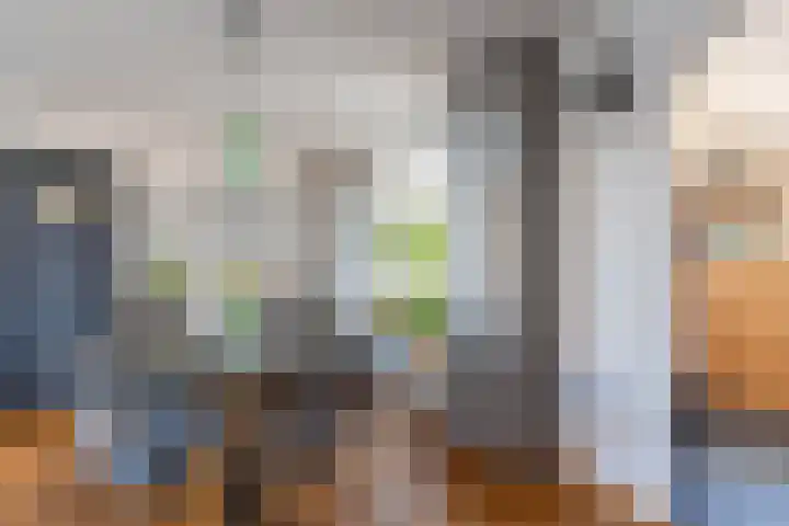 den Haak 5 Overloon thumbnail 28