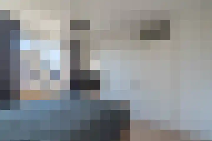 den Haak 5 Overloon thumbnail 42