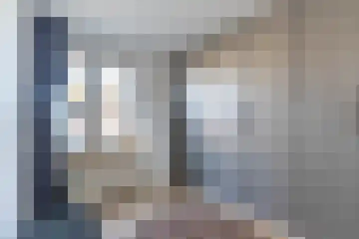 den Haak 5 Overloon thumbnail 44