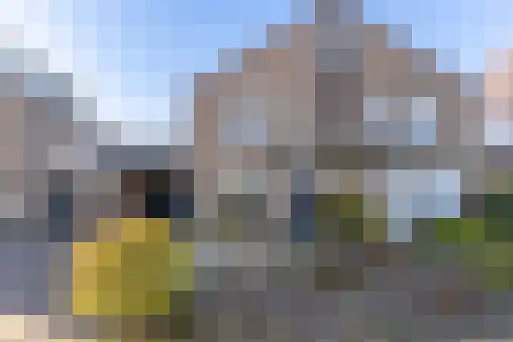den Haak 5 Overloon thumbnail 6