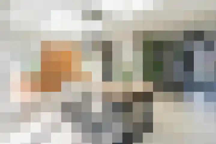 Den Haas 14 Valkenswaard thumbnail 12