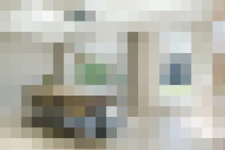 Den Haas 14 Valkenswaard thumbnail 13