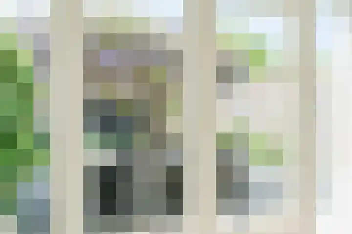 Den Haas 14 Valkenswaard thumbnail 14