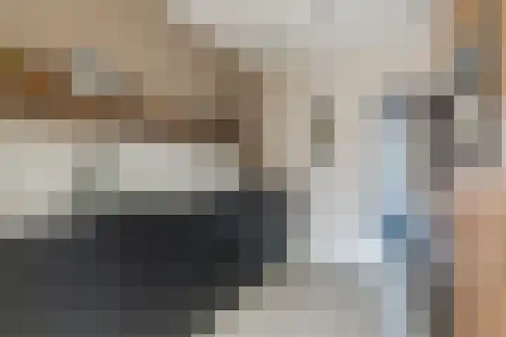 Den Haas 14 Valkenswaard thumbnail 18