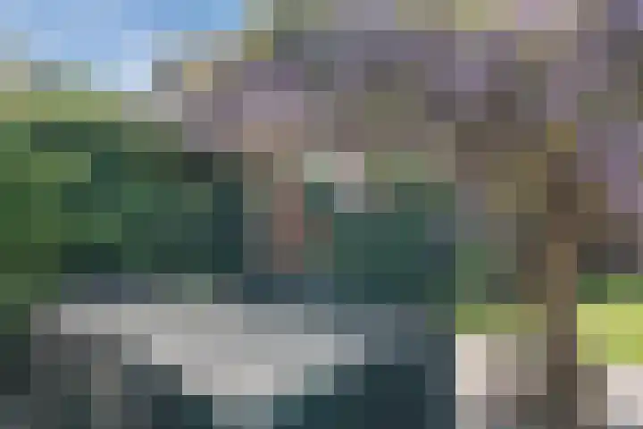 Den Haas 14 Valkenswaard thumbnail 32
