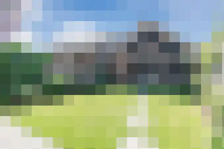 Den Haas 14 Valkenswaard thumbnail 34