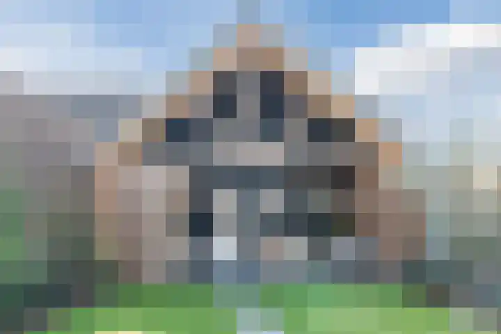 Den Haas 14 Valkenswaard thumbnail 35