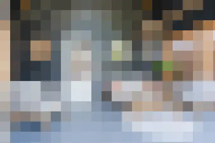 Den Haas 14 Valkenswaard thumbnail 36