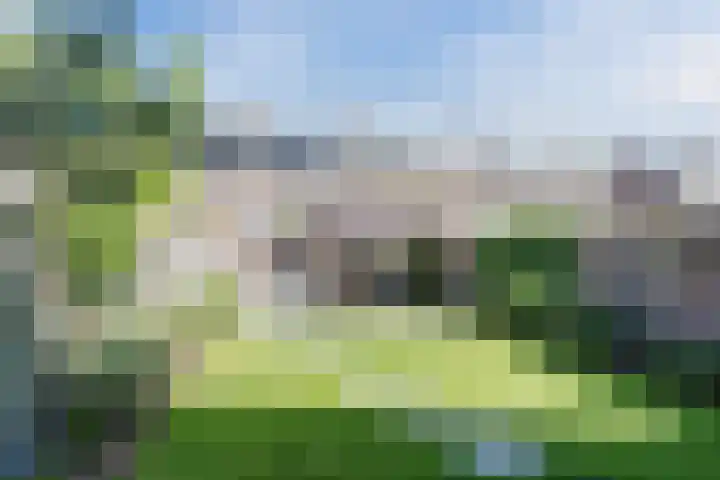Den Haas 14 Valkenswaard thumbnail 38