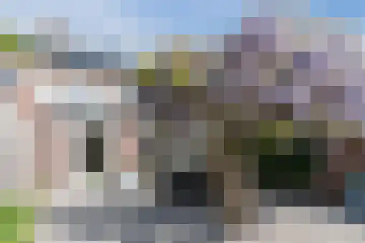 Den Haas 14 Valkenswaard thumbnail 39