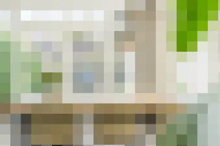 Den Haas 14 Valkenswaard thumbnail 43