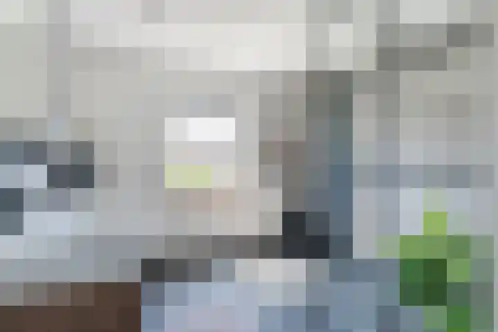 Den Haas 14 Valkenswaard thumbnail 5