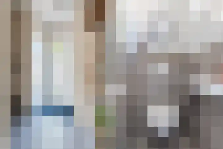 Den Haas 14 Valkenswaard thumbnail 8