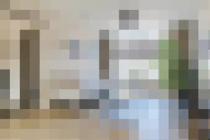 Den Haas 14 Valkenswaard thumbnail 9