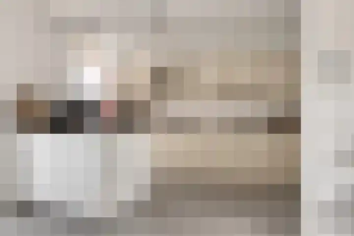 Den Haas 25 Valkenswaard thumbnail 15
