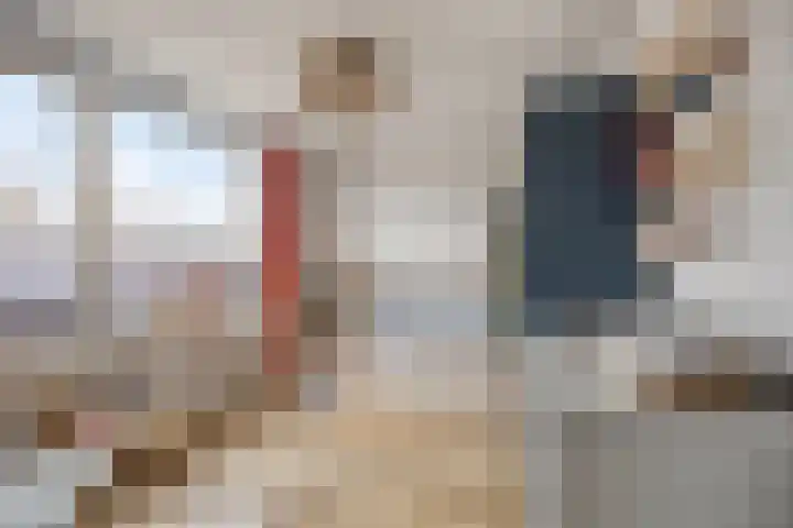Den Haas 25 Valkenswaard thumbnail 33