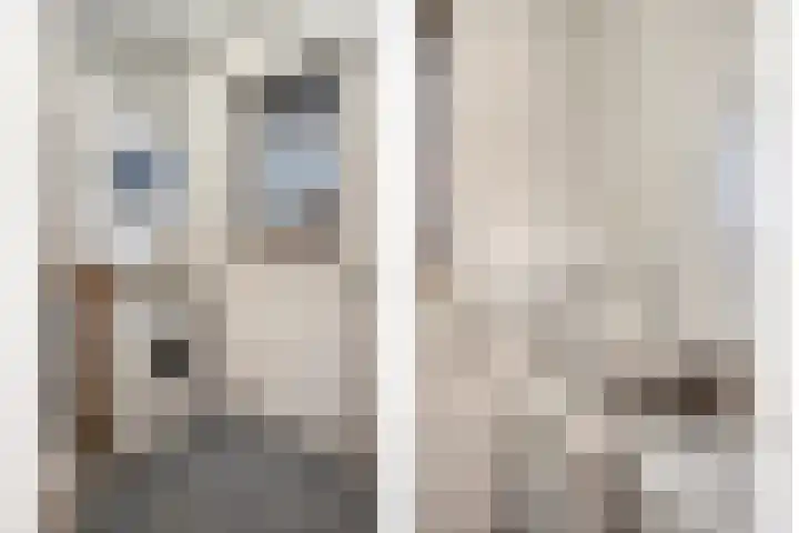 Den Haas 25 Valkenswaard thumbnail 35