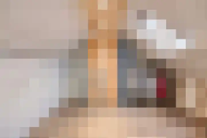 Den Haas 25 Valkenswaard thumbnail 37
