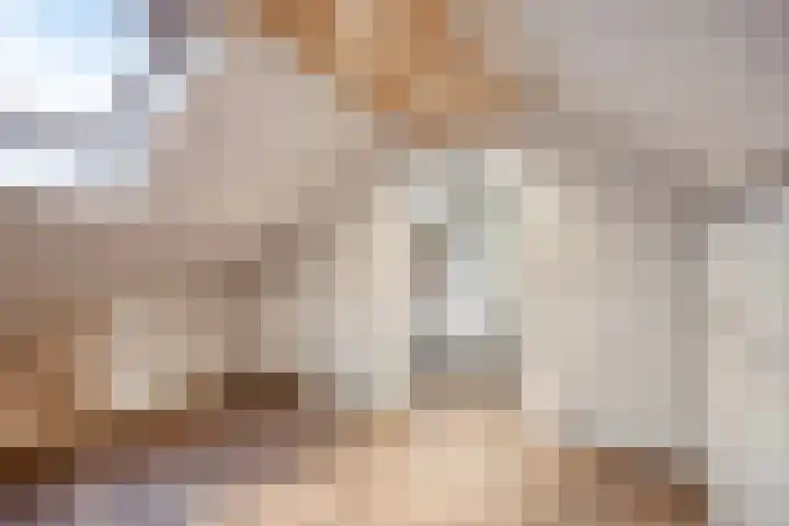Den Haas 25 Valkenswaard thumbnail 38