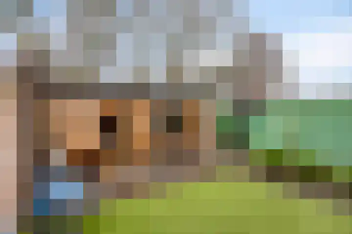 Den Haas 25 Valkenswaard thumbnail 4