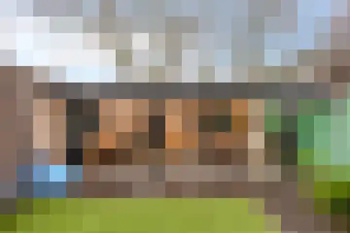 Den Haas 25 Valkenswaard thumbnail 40