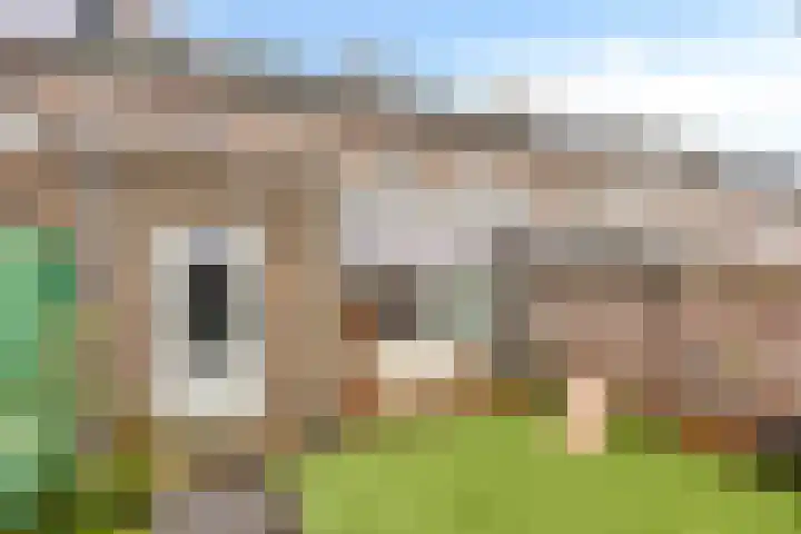 Den Haas 25 Valkenswaard thumbnail 41