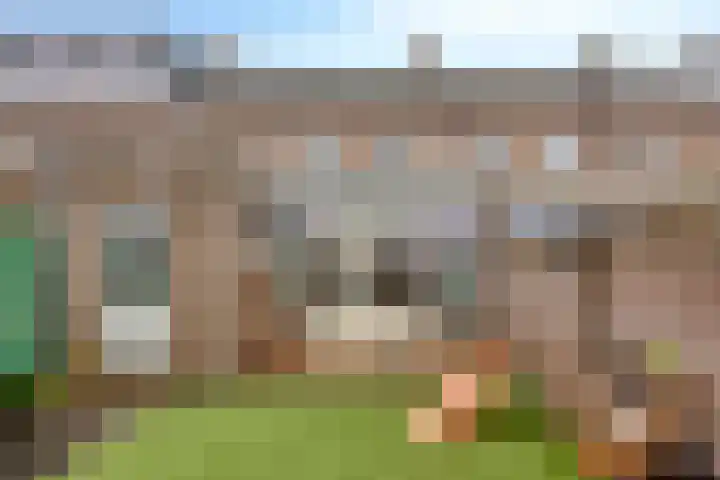 Den Haas 25 Valkenswaard thumbnail 43