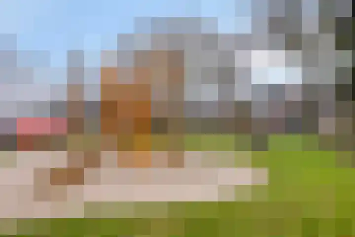 Den Haas 25 Valkenswaard thumbnail 48
