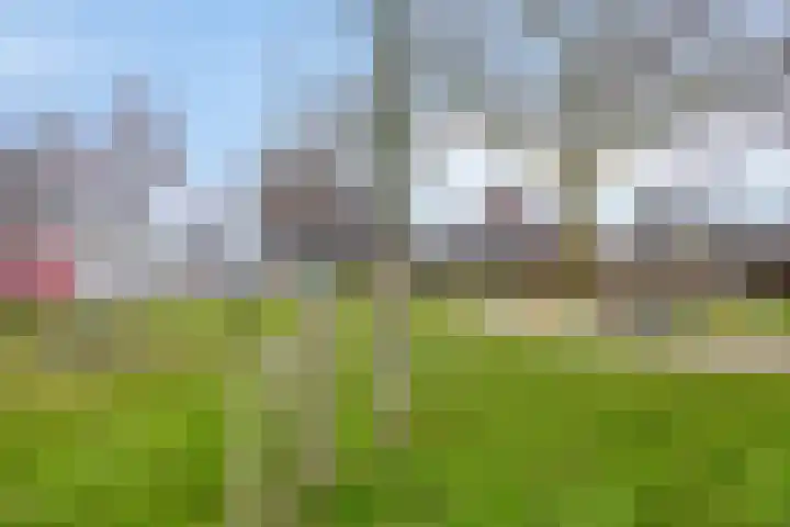 Den Haas 25 Valkenswaard thumbnail 49