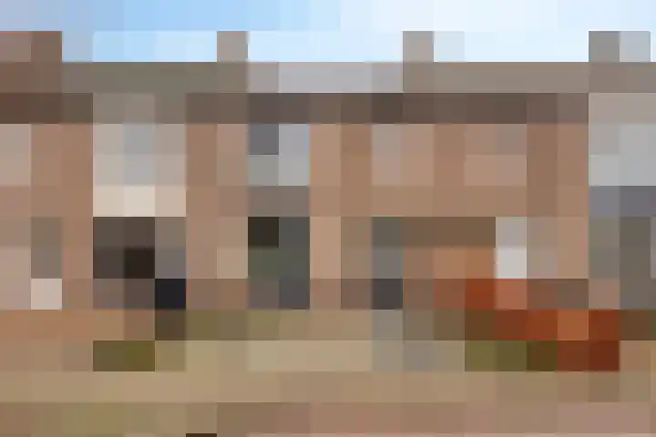 Den Haas 25 Valkenswaard thumbnail 5