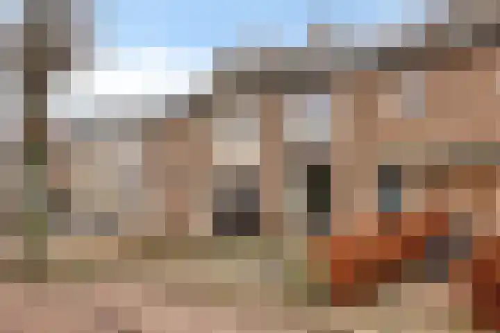 Den Haas 25 Valkenswaard thumbnail 6