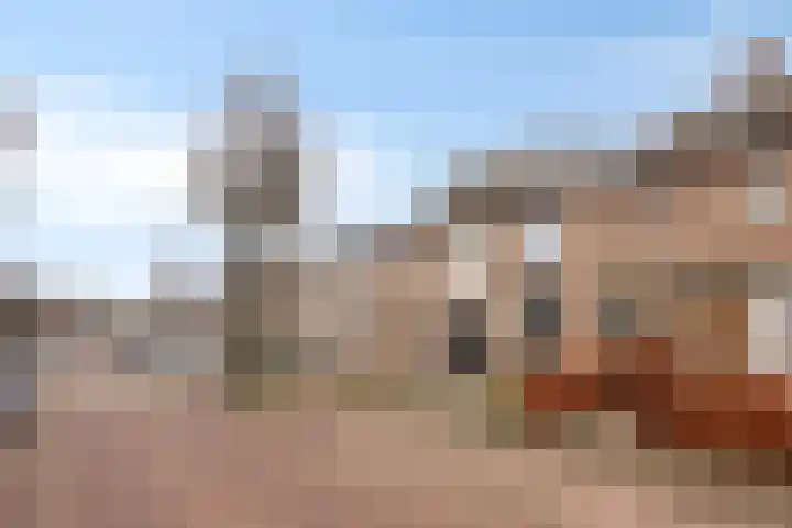Den Haas 25 Valkenswaard thumbnail 7