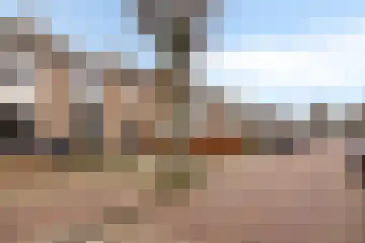 Den Haas 25 Valkenswaard thumbnail 8