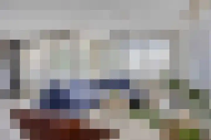 Den Haas 54 Valkenswaard thumbnail 16
