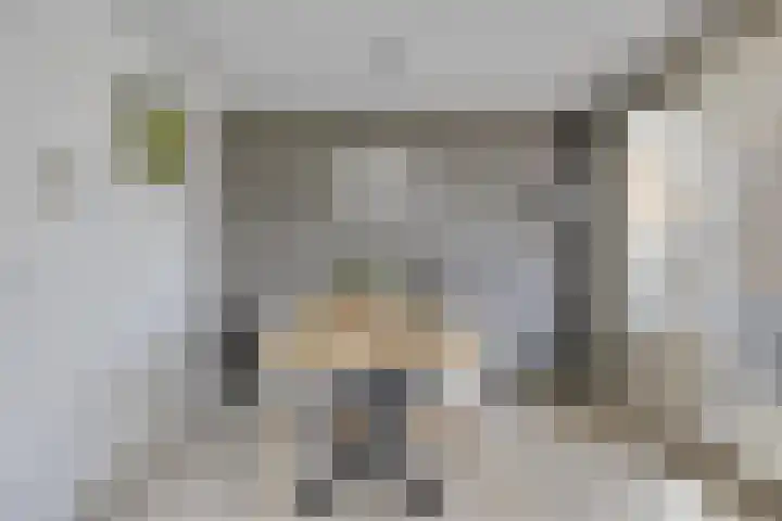 Den Haas 54 Valkenswaard thumbnail 22