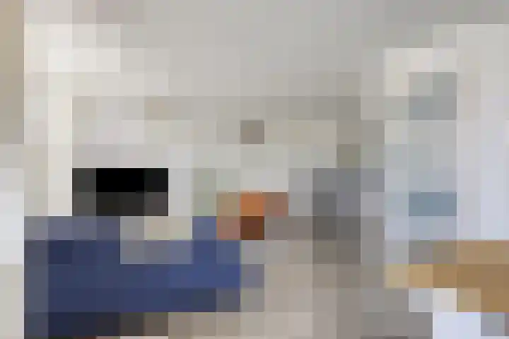 Den Haas 54 Valkenswaard thumbnail 25