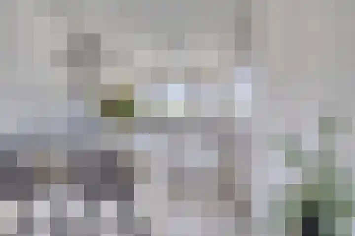 Den Haas 54 Valkenswaard thumbnail 27