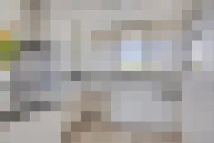 Den Haas 54 Valkenswaard thumbnail 31