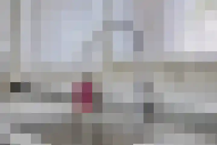 Den Haas 54 Valkenswaard thumbnail 32