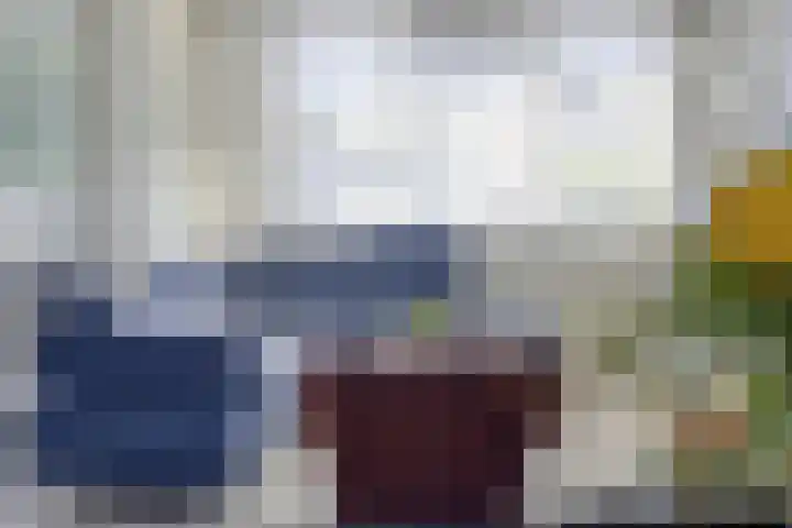 Den Haas 54 Valkenswaard thumbnail 33