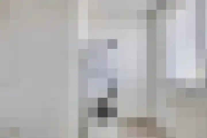 Den Haas 54 Valkenswaard thumbnail 39