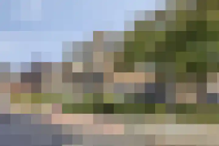 Den Haas 54 Valkenswaard thumbnail 4