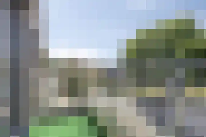 Den Haas 54 Valkenswaard thumbnail 43