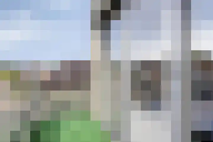 Den Haas 54 Valkenswaard thumbnail 44