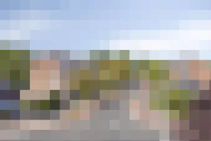 Den Haas 54 Valkenswaard thumbnail 45